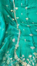 A beautiful turquoise 3pc set with organza dupatta