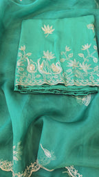 A beautiful turquoise 3pc set with organza dupatta