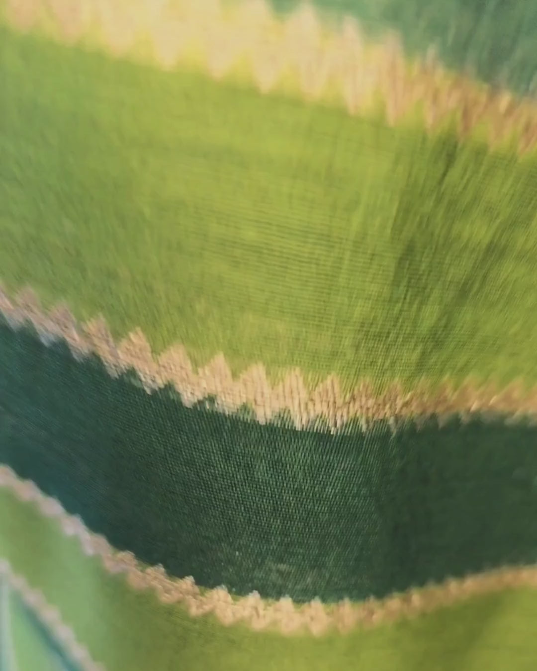 Lime green golden zari suit set